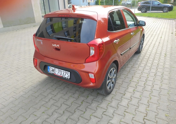 Kia Picanto cena 69900 przebieg: 18000, rok produkcji 2022 z Wejherowo małe 154